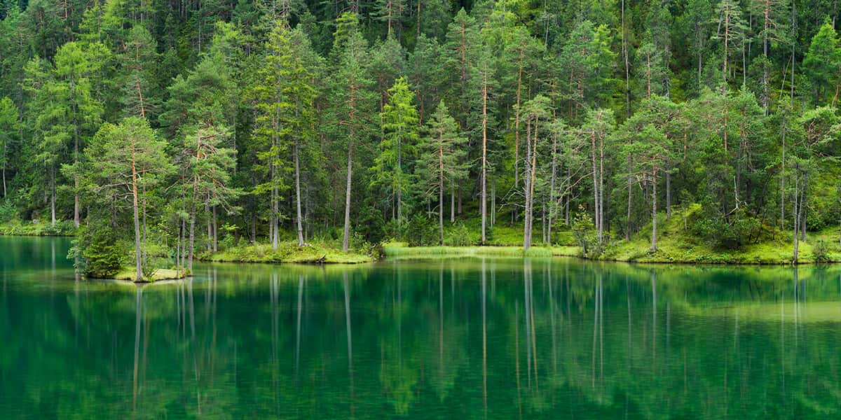 Der grüne Wald spiegelt sich im Wasser des Fernsteinsee