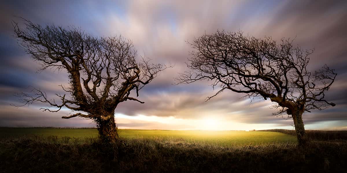 Zwei Bäume trotzdem Wind im Lake District in England