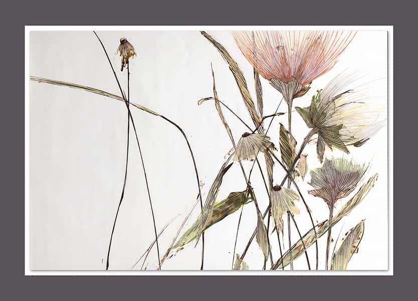 Wilde Blumen in Pastelltönen zeigen ein stück Natur in einer Zeichnung in einem anthrazit Passepartout 3