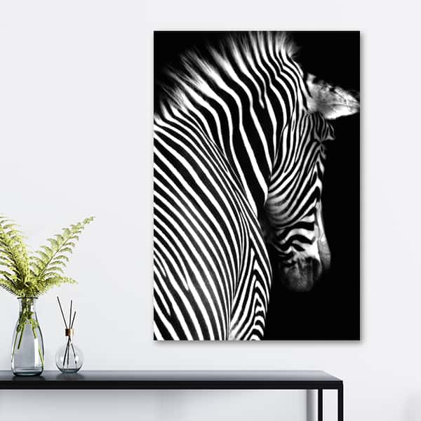 Wildes Afrika | Zebra
