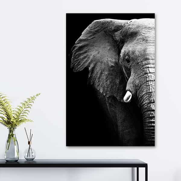 Wildes Afrika | Elefanten Portrait