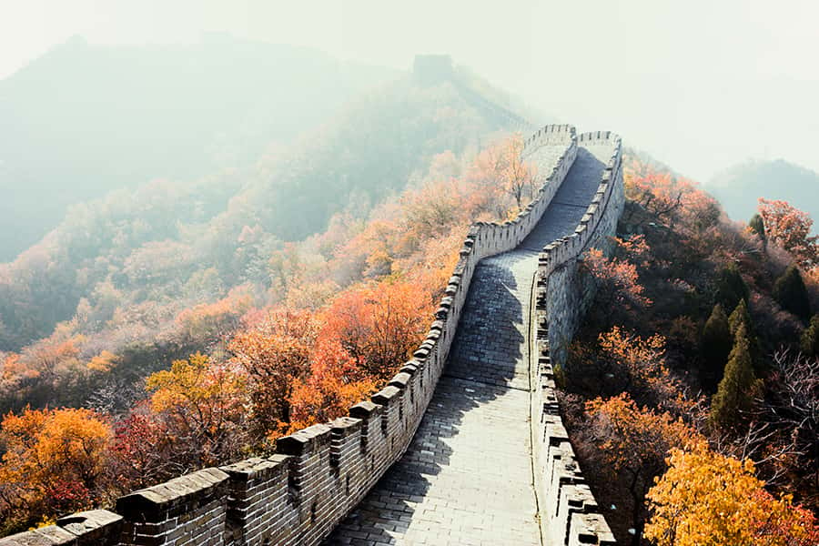 Blick auf die Chinesische Mauer die umgeben ist von Bäumen