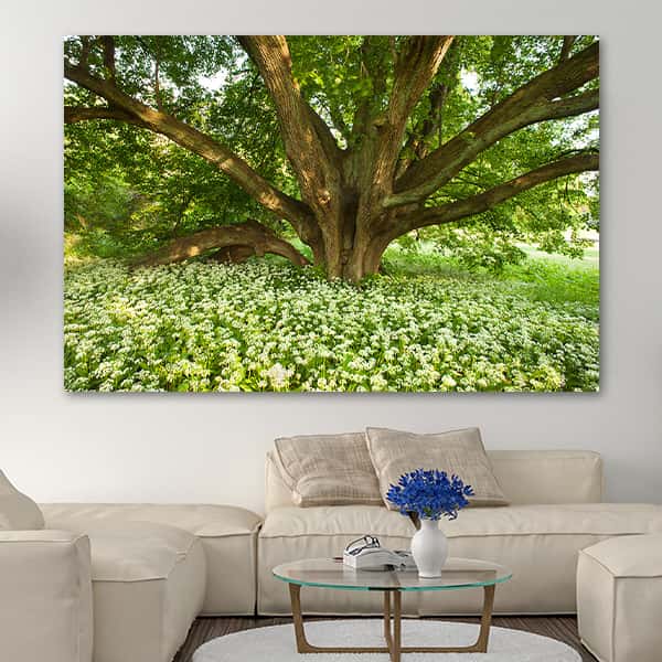 Ein Baum mit grünen Blättern und weißen Blättern auf dem Boden in einem Raummilieu