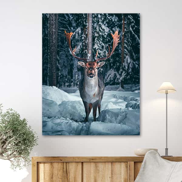 Ein majestätischer Hirsch steht in einer Winterlandschaft in einem Raummilieu