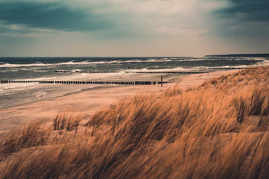 Mit Wind durchzogene Dünen am Strand in Mecklenburg-Vorpommern