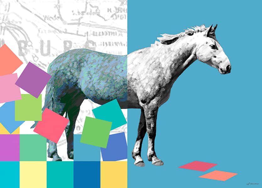 Sstehendes Pferd vor Hintergrund mit bunten Quadraten und blaugrauer Farbe