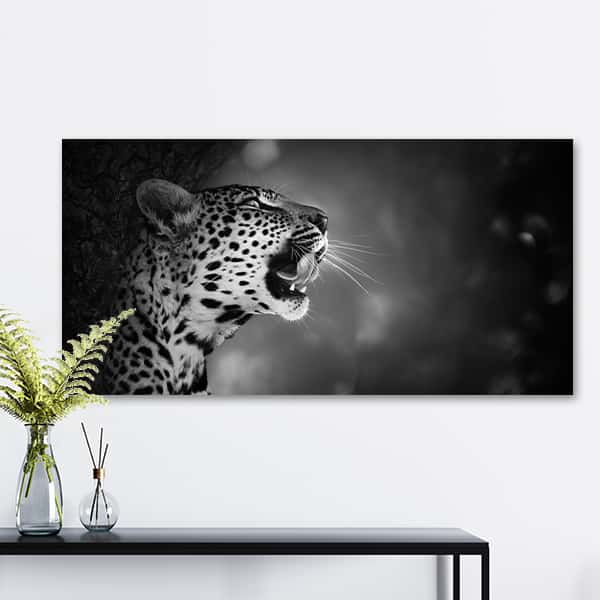 Wildes Afrika | Leopard
