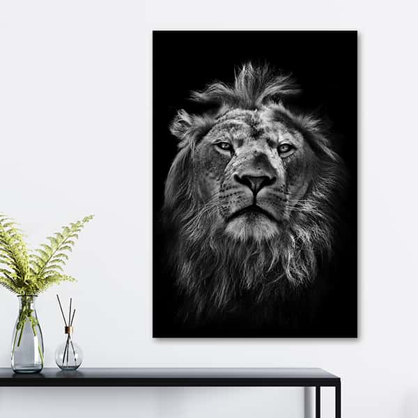 Wildes Afrika | Löwen Portrait