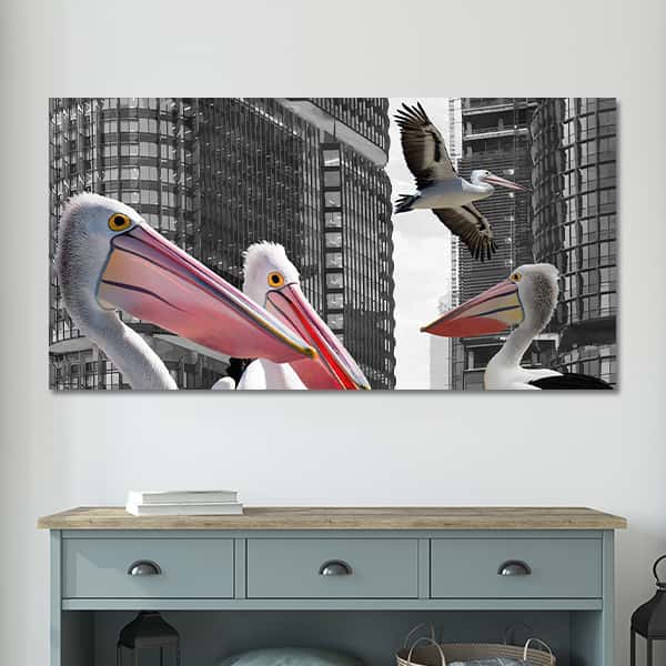 Vier Pelikane in der Großstadt in einem Raummilieu