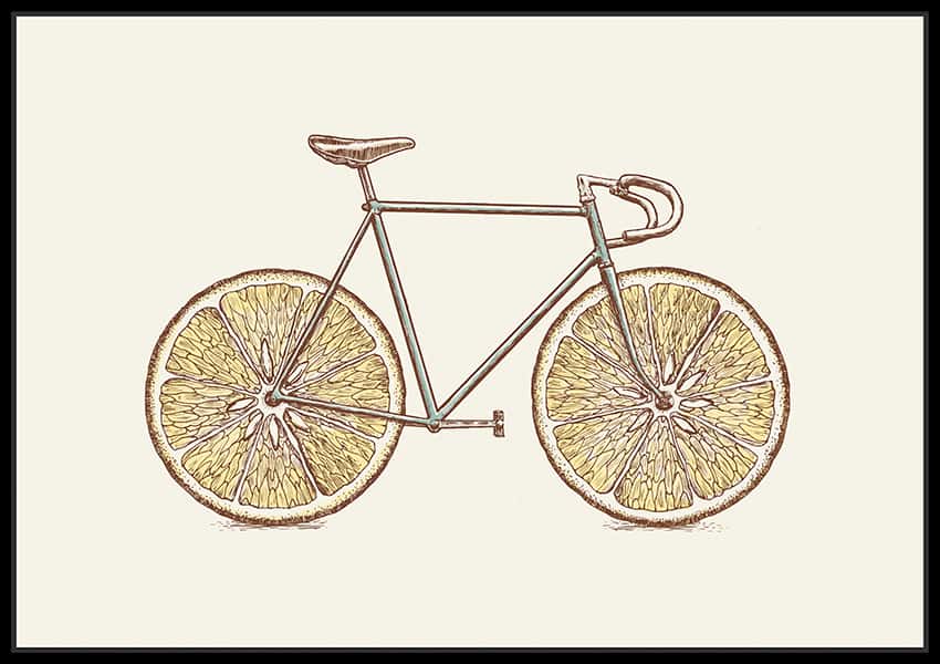 Ein Fahrrad mit Grapefruitscheiben als Räder in einem schwarzen Schattenfugenrahmen