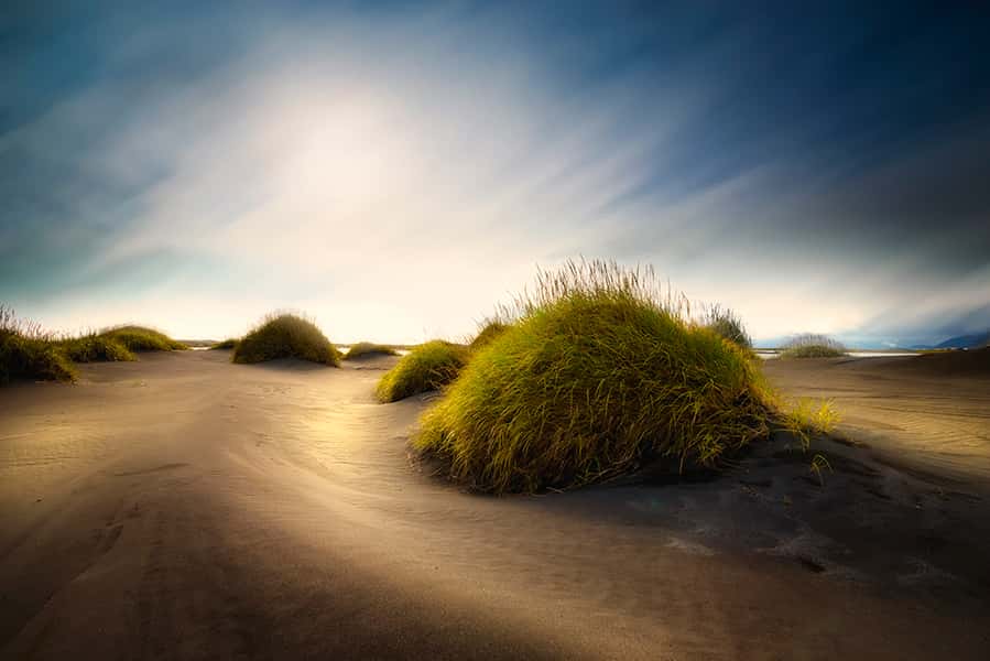 Der Blick über die bewachsenden Dünen auf Island