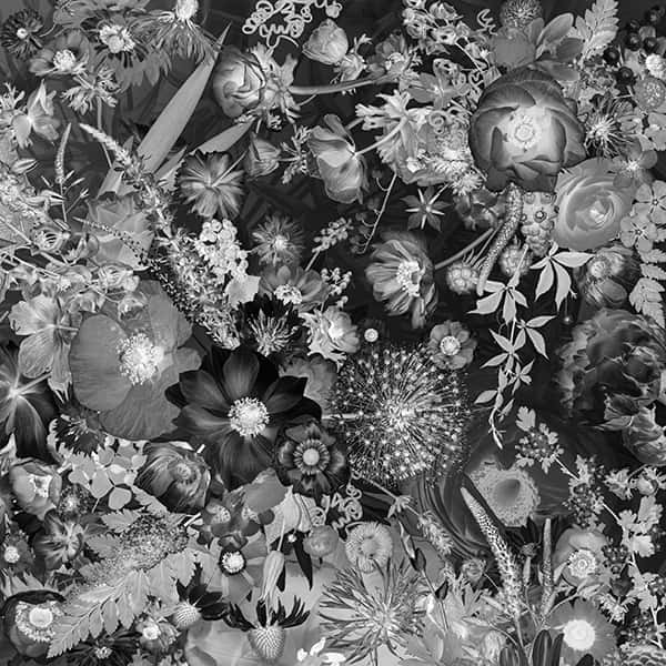Ein Bild mit ganz vielen verschiedenen Blumen in Schwarztönen.