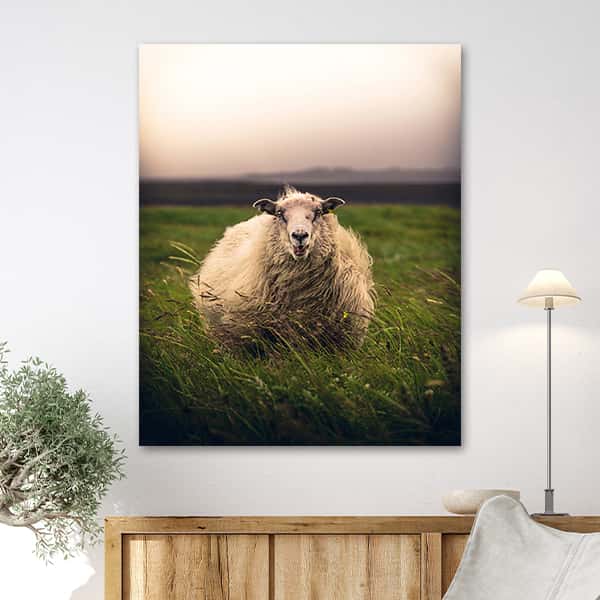 Ein Schaf steht in einem großem grünen Feld in einem Raummilieu