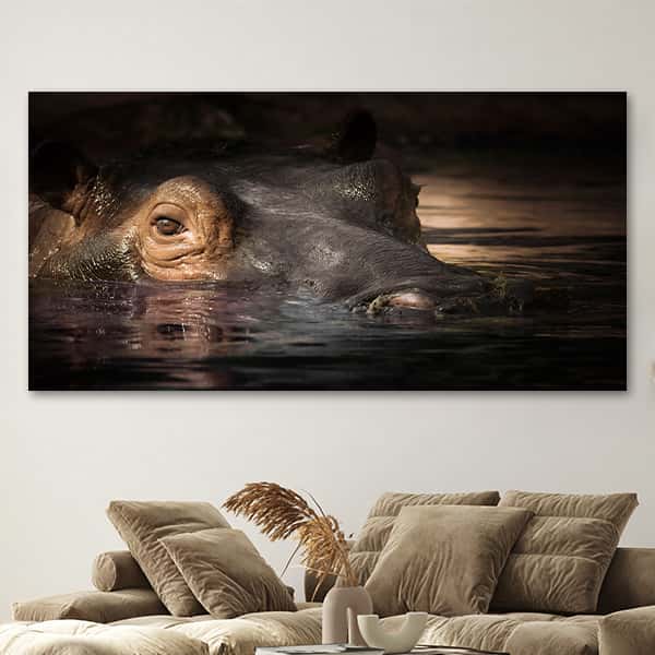 aufsteigendes Flusspferd im Wasser schaut zum Betrachter des Bildes in einem Raummilieu
