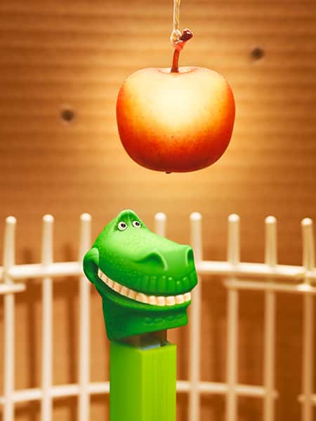 Dinosaurier Süßigkeiten Spender wird mit Apfel in der Zirkus Manege  dressiert
