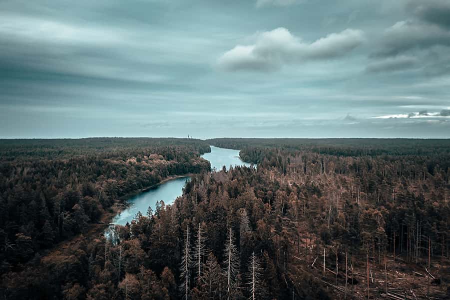 Eine Luftaufnahme des Waldes in der Nähe von Vänersborg.