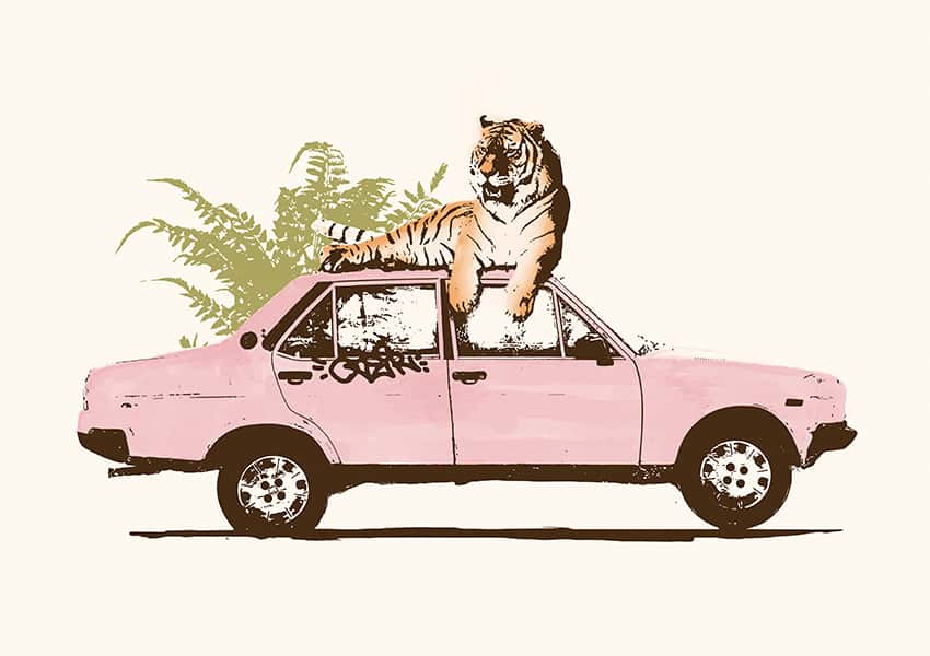 Ein Tiger sitzt auf einem rosa Auto.