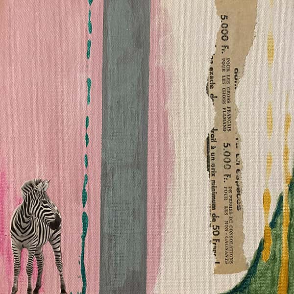 Zebra schaut nach links auf pink, blau, grün und gelben Hintergrund
