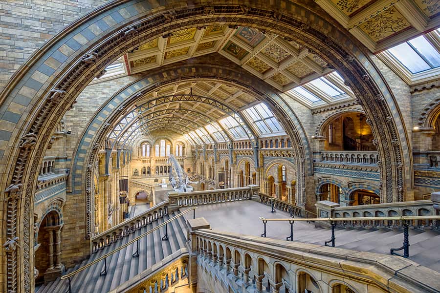 Hallen des Naturhistorische Museums in London