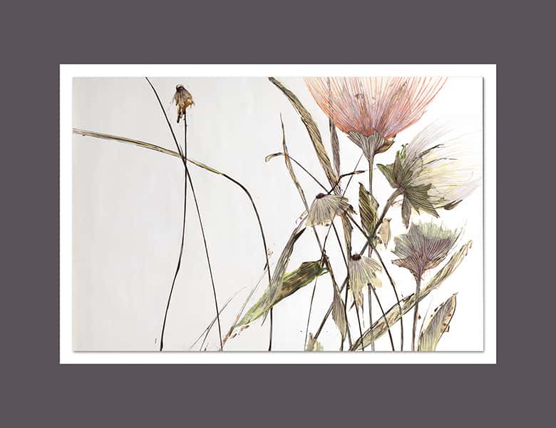 Wilde Blumen in Pastelltönen zeigen ein stück Natur in einer Zeichnung in einem anthrazit Passepartout 1
