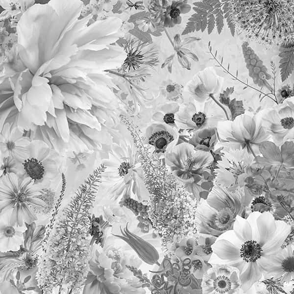 Ein Bild mit ganz vielen verschiedenen Blumen in Weißtönen.
